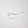 Kit 10 leds grand angle Ø5mm blanches 12v
