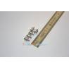 5 Bollards laiton nickelé 6.0mm